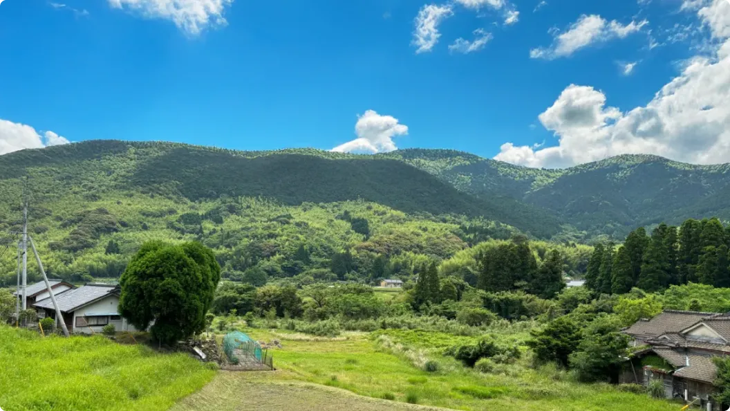 鹿児島県さつま町産の鹿肉の魅力