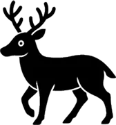 鹿肉に含まれる栄養素