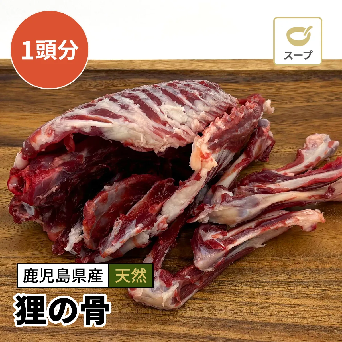 狸（タヌキ）の骨